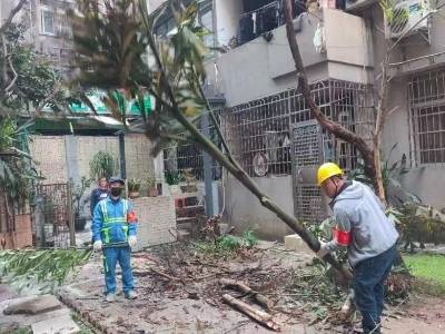 黄花岗犀牛北社区：共建联动解民忧，枝叶关情显担当