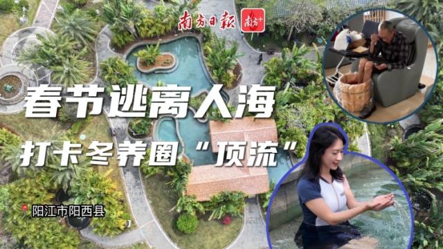 春节逃离人海，打卡冬养圈“顶流”丨阳西文旅特别报道②