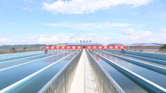 粤海集团：“五航五力”领航企业高质量发展丨党建领航 国企争先