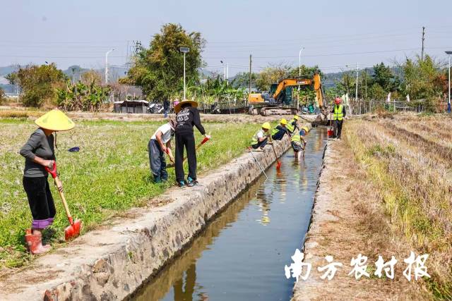 中山南朗街道冲口村干群热火朝天开展春耕备耕各项工作。