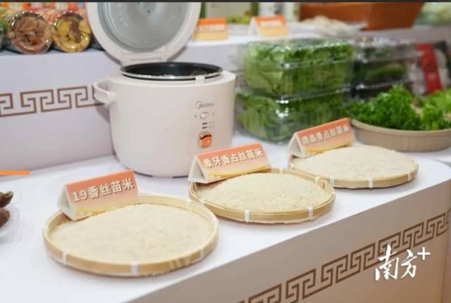 由广东自主培育得优新丝苗米品种。