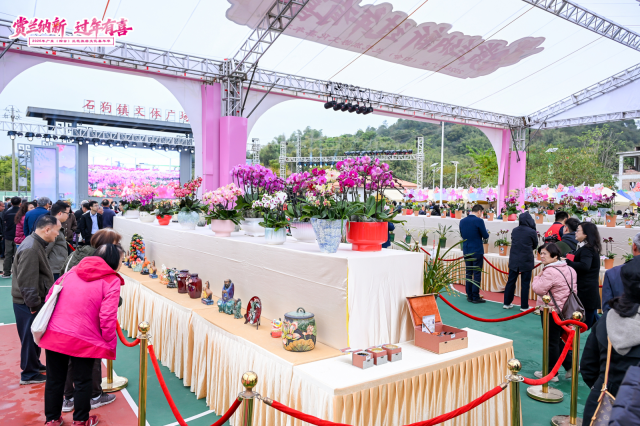 四会石狗兰花特展。