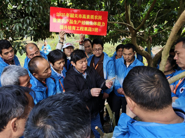 果树下开展教学