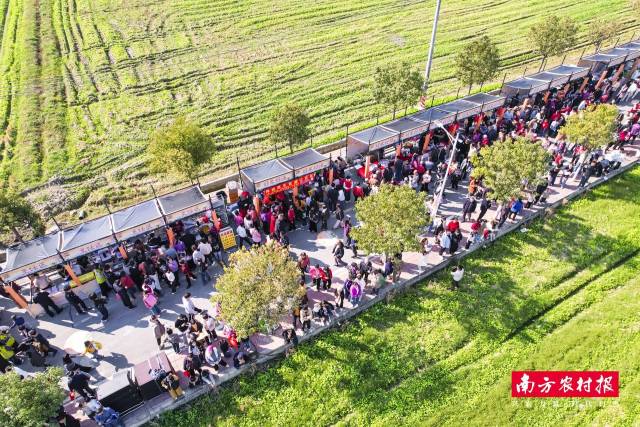 活动吸引群众打卡体验。 