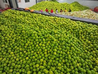 2026年梅州两会聚焦振兴发展，以实干实绩擦亮苏区底色