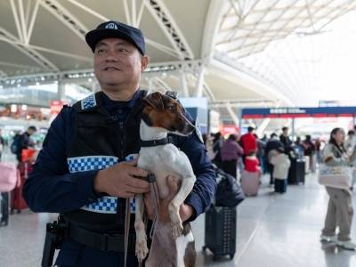 新春走基层 | “非常叛逆”的警犬坚五，首个春运干了啥？
