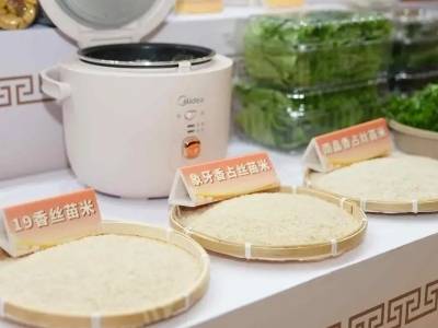 汕头“潮味三宝”，正让世界尝到广东好味道