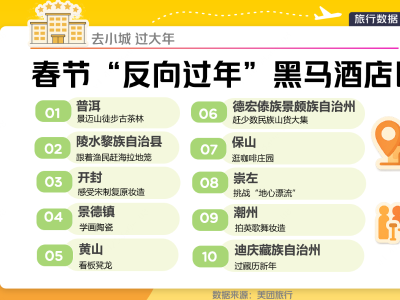 春节拼出“17天长假”引爆老广出游热情，AI订机酒至高减300元