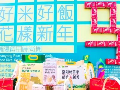 好米好饭，花样新年！潮阳稻田时尚周精彩启幕
