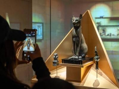 马上看展｜一文盘点广东春节逛展全攻略