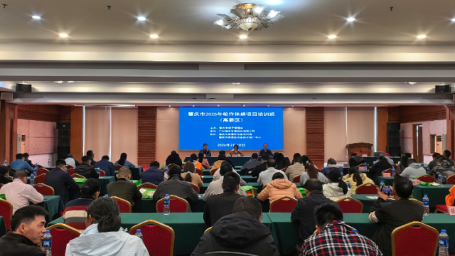 绿肥怎么种好？专家现场分享种植技巧