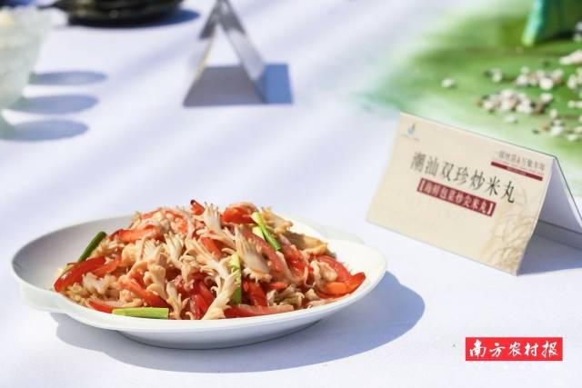 南方农村报 吴秒衡 拍摄