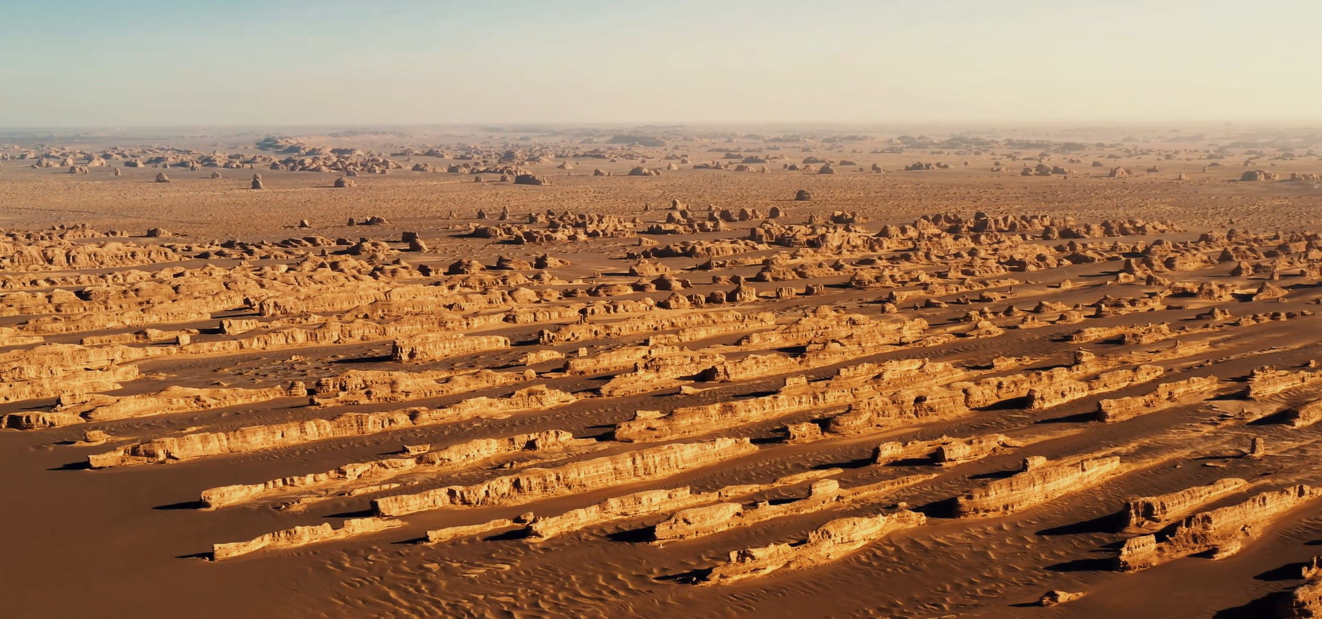    通讯员 陈步上 供图