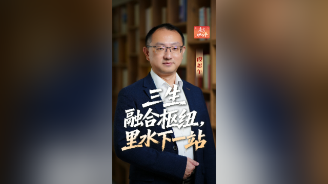 南方视评｜三生融合枢纽，里水下一站