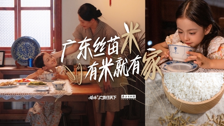广东丝苗米，有米就有家丨广货行天下