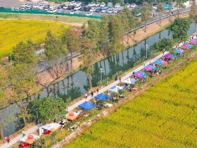 水上市集瓜果香，花海侨楼咖味浓！中山火炬濠头邀你迎新春