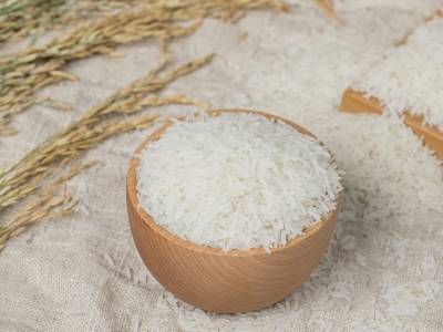 广东丝苗米端牢“一碗饭”丨广货行天下