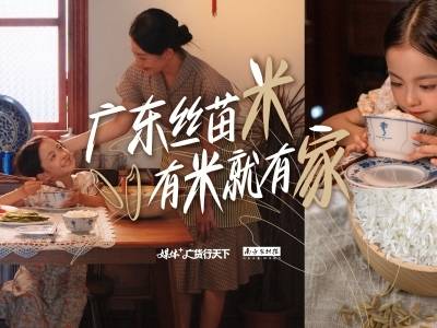 广东丝苗米，有米就有家丨广货行天下