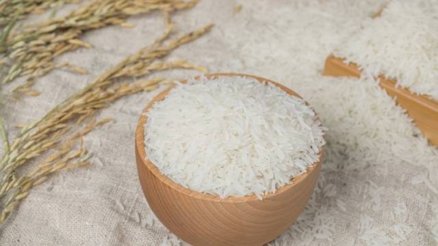 广东丝苗米端牢“一碗饭”丨广货行天下