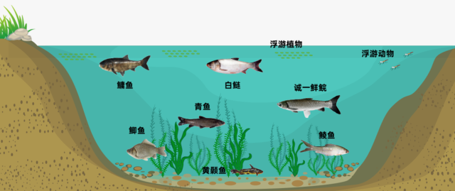 诚一首创“1+6”生态养殖模式。