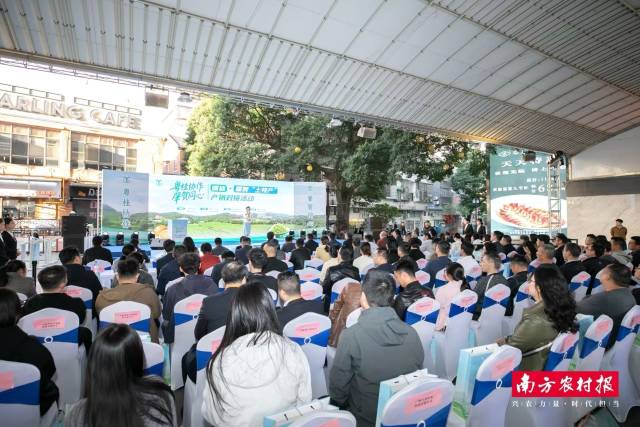 “粤桂协作·肇贺同心”媒体+肇贺“土特产”产销对接活动现场。