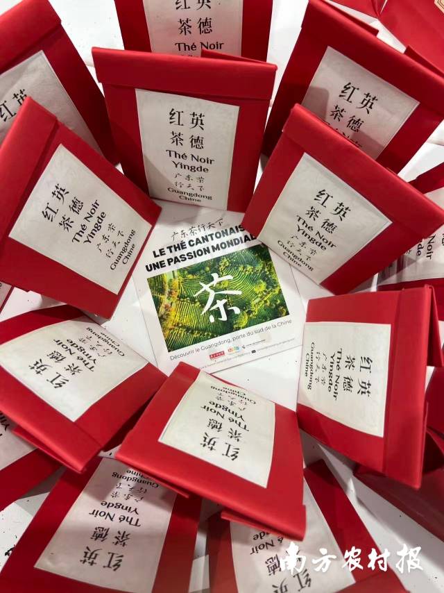 这个新春，清远英德红茶还走出海外，登陆法国巴黎。