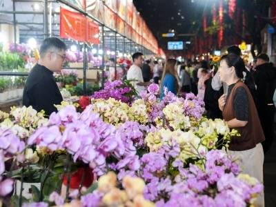 广州花市期间开行定制专线，部分公交线路、地铁运营时间有调整