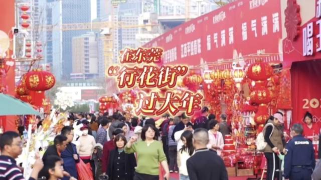 视频｜在东莞“行”花街，过大年