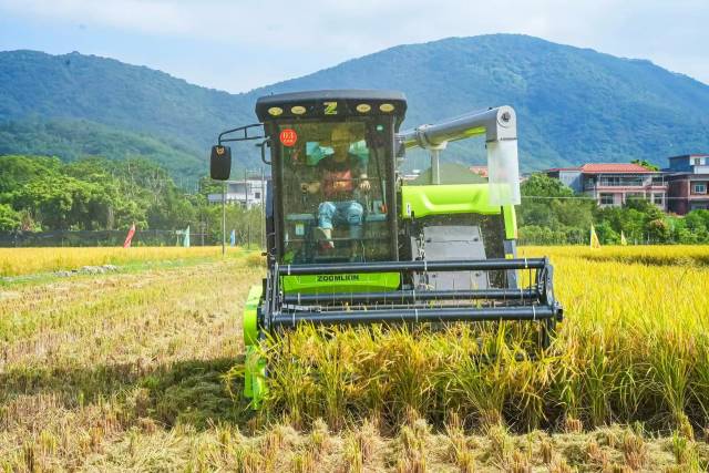 南方农村报 赵飘飘 拍摄