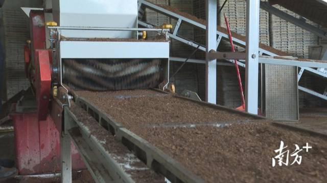 南方农村报 赵飘飘 拍摄