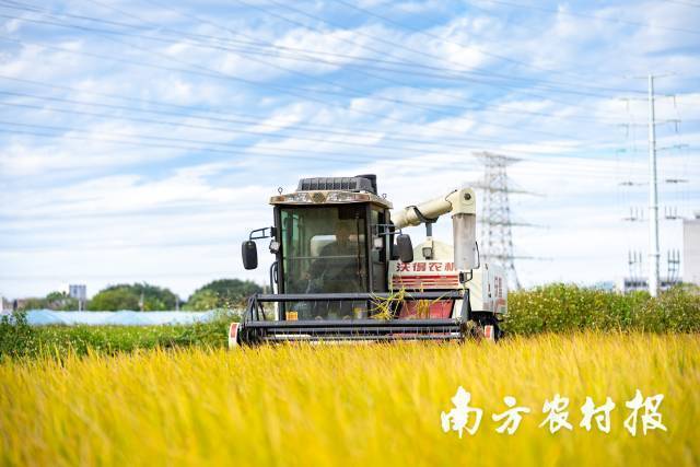 水稻生产全程机械化是大势所趋。  