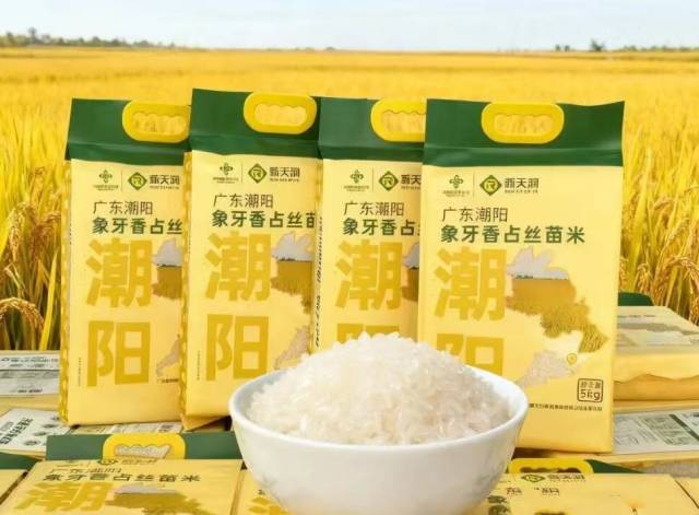 潮阳区关埠镇溪西欧村的“象牙香占”丝苗米荣获最高荣誉——“金籼奖”  。