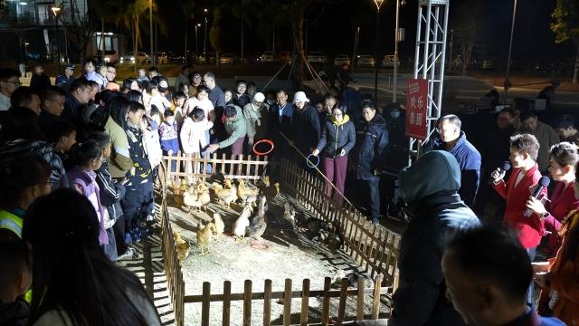 2月7日，在河源龙川四都镇，“粤美村晚”活动现场，套鸡鸭等农事运动收获火爆人气，不少村民顺利抱回今年首批“年货”。（陈文波 摄）