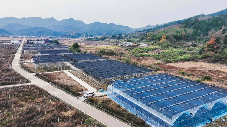 在始兴澄江镇，这些奋斗者绘出“百千万工程”新画卷