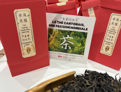 凤凰单丛再显“国际范”，亮相巴黎中法马年春晚｜广货行天下