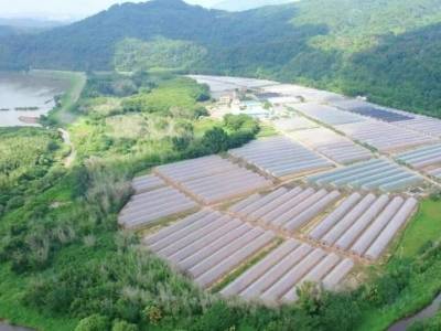 韶关浈江破局！全市首个“强团公司”抱团发力，让环丹片区共富之路越走越宽丨读+观韶