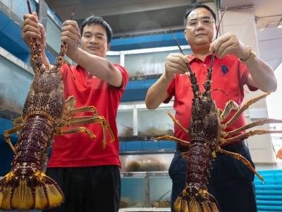 新春走基层｜一天卖出4000斤帝王蟹，黄沙水产人的年夜饭也吃“自家货”