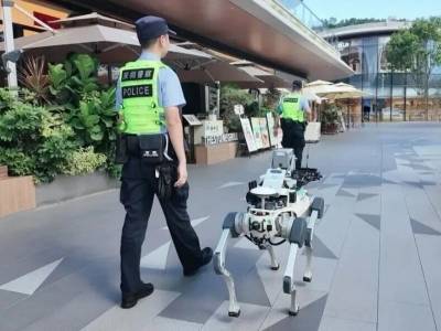 龙岗“百千万工程”引领，“All in AI” 勾勒“人机共生”未来之城