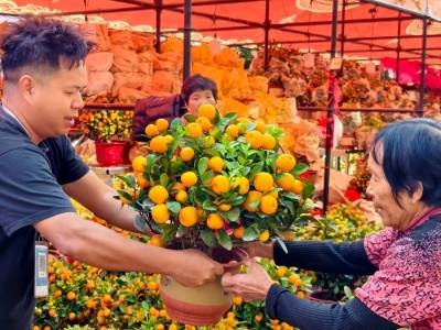 行花街过大年，2026年荔湾传统迎春花市启动