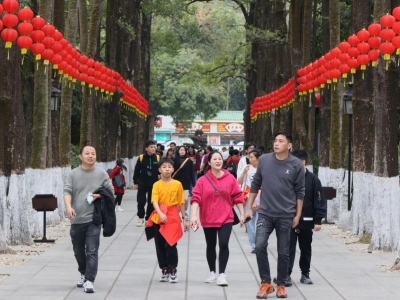 来中山过大年，理由只需要1个