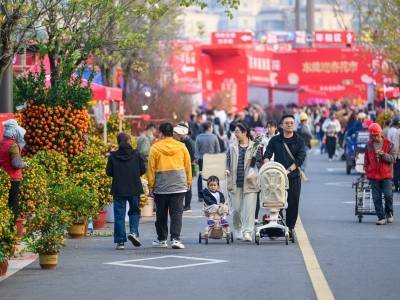 多图｜“行花街”去！东莞迎春花市主会场年味十足