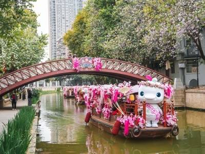 顶流“大湾鸡”，春节档期已排满！
