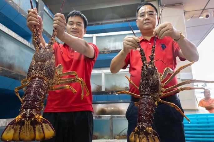 新春走基层｜一天卖出4000斤帝王蟹，黄沙水产人的年夜饭也吃“自家货”