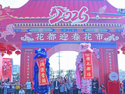 开门红！2026花都迎春花市首日人气爆棚，年味拉满
