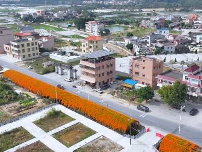 视频｜江门鹤山市大凹村：“炮仗”天天放，春节邀您赏