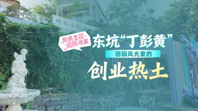 东坑“丁彭黄”：田园风光里的创业热土
