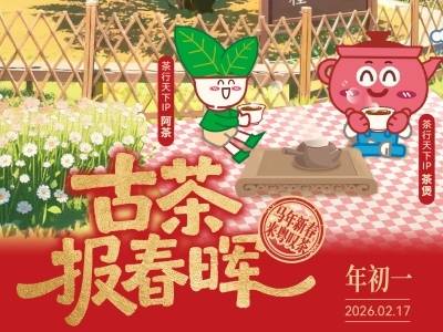 踏春寻宋种，照见粤茶的千年时光｜马年新春·来粤叹茶②
