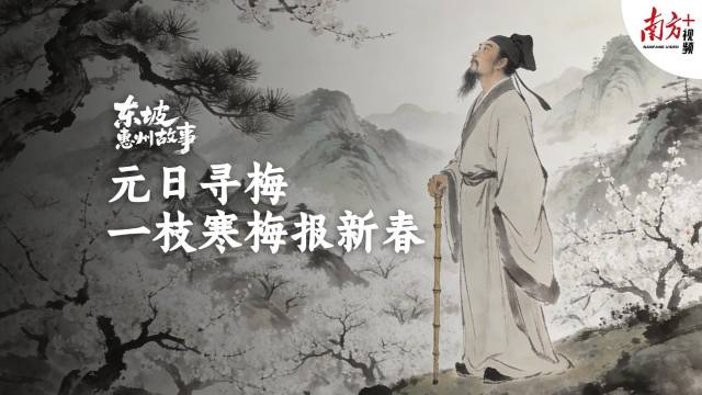 元日寻梅：一枝寒梅报新春｜东坡惠州故事·新春特辑②
