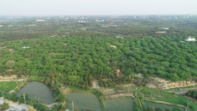 南方农村报 温志勇 制图