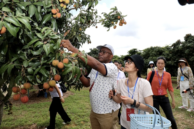 南方农村报 温志勇 制图